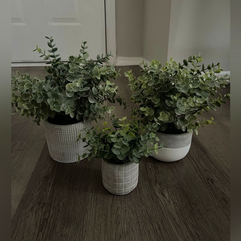 Eucalyptus Faux Plants - set of 3